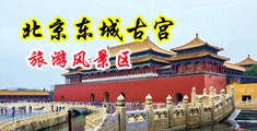 喷水粗操揉中国北京-东城古宫旅游风景区